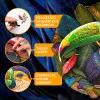Immagini e foto di Toucan puzzle 300 pezzi. ESC WELT.